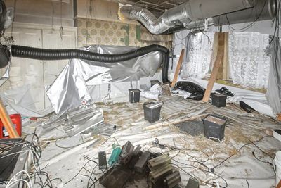 St Leonards cannabis farm to go to auction for £180,000 next month