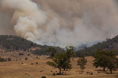 More than 1,000 families told to evacuate as bushfires rage and temperatures near 50C in Australia