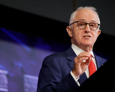 Turnbull urges Albanese to acknowledge new global political reality under ‘bully’ Trump