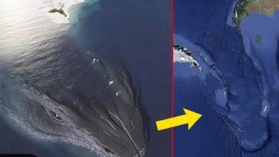 What is Facebook's 'Leviathan' Theory, and Why Has It Been Spreading Online? Why Some People Believe the US Blizzards Were Man-Made