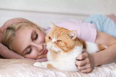 Ever Caught Your Cat Watching You Sleep? Here’s Why