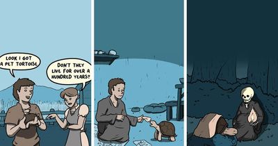 20 Funny And Slightly Unhinged Comics By Aidee Sea (New Pics)