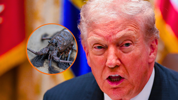 California AG sues Trump administration’s ‘unlawful power grab’ to restart pipelines that caused an oil spill in 2015