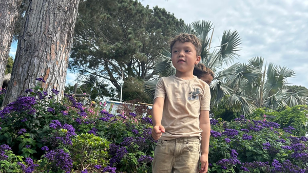 'This Was Not an Accident': Driver Arrested After Hitting Six-Year-Old, Stopping, Then Driving Over Him Again