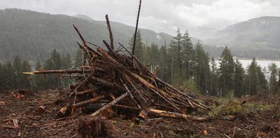 Biomass could play a key role in Canada’s transition to a carbon-neutral economy