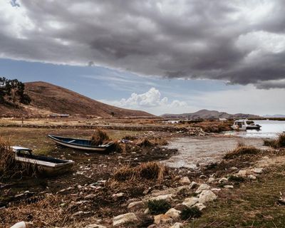 The UK government didn’t want you to see this report on ecosystem collapse. I’m not surprised