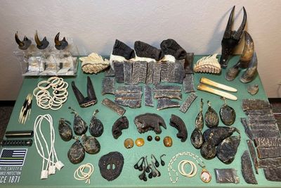 Three arrested for trafficking elephant tusks, rhinoceros horns and other animal goods