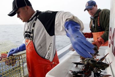 This state is home to the happiest employees