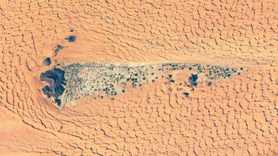 Ancient lake full of crop circles lurks in the shadow of Saudi Arabia's 'camel-hump' mountain — Earth from space