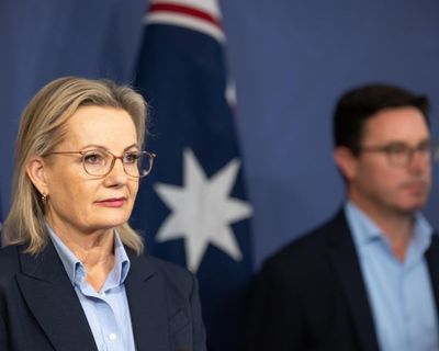 The Liberals’ fatal flaw was becoming Nationals-lite. Here’s how they can come back from the brink