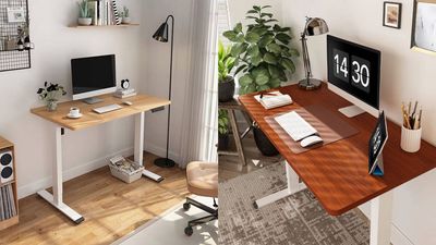 FlexiSpot Discount Codes for {short_month} 2026 |