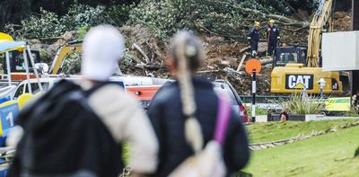 Do trees prevent landslides? What science says about roots, rainfall and stability