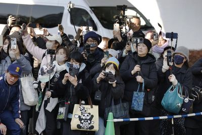 Japan's last pair of pandas have arrived back in China