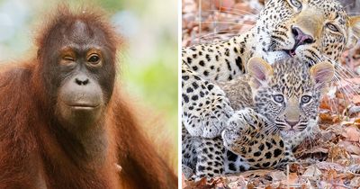 My 21 Photos That Show Why Patience Is Everything In Wildlife Photography