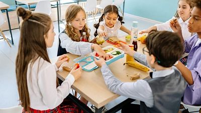 Countries worldwide must clean up school food as child obesity rises at alarming rate, WHO urges