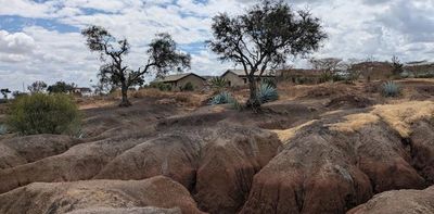 Tanzania is losing fertile land to soil erosion: what’s happening and what can be done