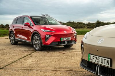 Chinese car brands could disappear from Europe and only ‘the strongest ones will survive’, says industry expert