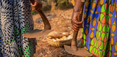 Small-scale farmers produce more of the rich world’s food than previously thought – new study