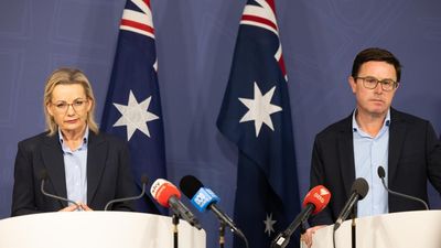 Senior Nats confident Littleproud will remain leader