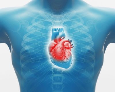 Calls for heart disease clinics to be rolled out NHS-wide to address ethnic disparity in treatment