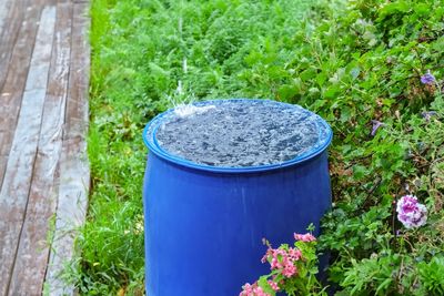 Why Some States Are Cracking Down on Rain Barrels Again
