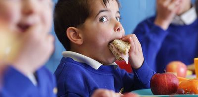 How much would you pay for school to provide your child with lunch every day?