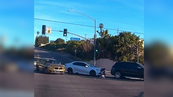 California toddler falls out of moving SUV. Mother arrested after shocking video goes viral