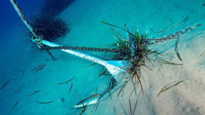 Undersea cable cutting shenanigans lead Finland to create a dedicated maritime surveillance center — Russian shadow fleet operations heighten concerns in the Baltic Sea