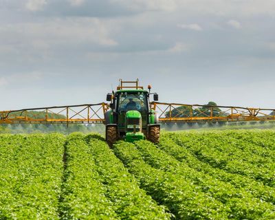 Food sector calls for transition period if UK and EU agree post-Brexit rules reset