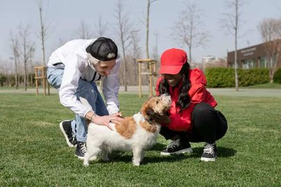 Puppy Socialisation Guide Most New Dog Parents Get Wrong