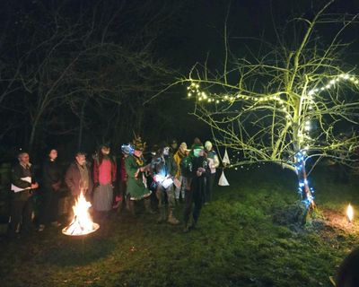 Country diary: Rowdy or charming, there’s no one way to wassail