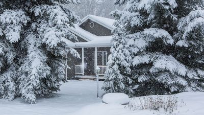 Homeowners urged to clear these 3 critical areas now after Snowstorm Fern