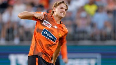 Zampa four-fer can't save Aussies in Pakistan defeat