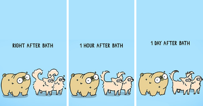 Comics That Perfectly Show The Everyday Life Of An Artist, Her Family, And One Spoiled Pug (23 New Pics)