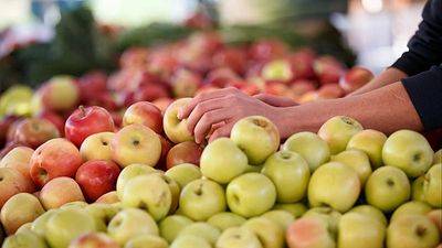 European apples tainted with 'pesticide cocktails', new study claims