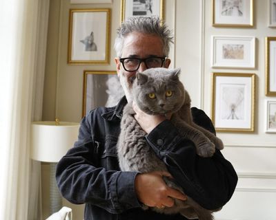 Pussies galore! David Baddiel’s Cat Man is purr-fect TV