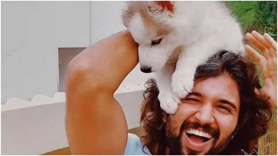 The beautiful tale of Vijay Deverakonda’s pet pooch Storm’s first plane ride - Watch