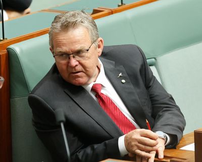 A ‘furious’ cattle farmer wants to be Nationals leader. But few expect the party to become a Boyce club