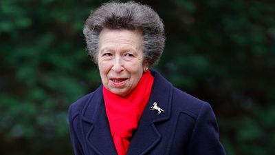 Princess Anne is the Royal Family's 'backbone' and one of her 'biggest successes' could easily go unnoticed