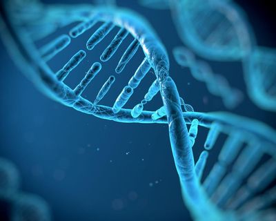 The secret to long life? It could be in the genes after all, say scientists