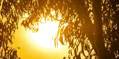 Anatomy of a heatwave: how a cyclone, humid air and atmospheric waves drove brutal heat in the southeast