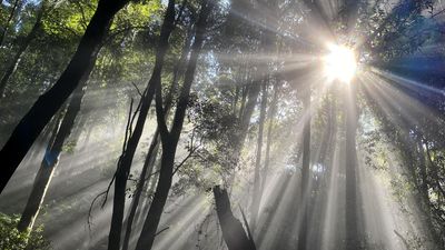 Teenage boy's body found in mountain creek