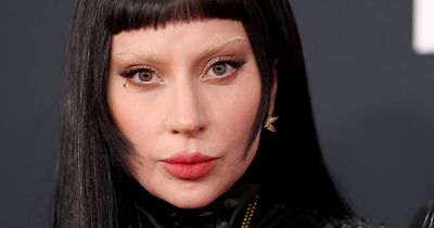 Lady Gaga Halts Concert To Deliver Bold ICE Speech That No One Saw Coming