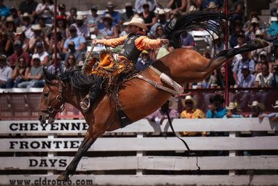 As pro rodeo considers moving HQ to Wyoming, conservative lawmakers question incentives