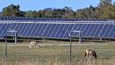 Contentious solar farm green lit, as locals fight on