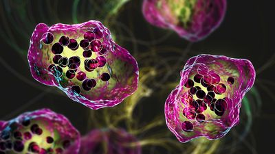 South Carolina's measles outbreak nears 790 cases — making it the biggest in decades