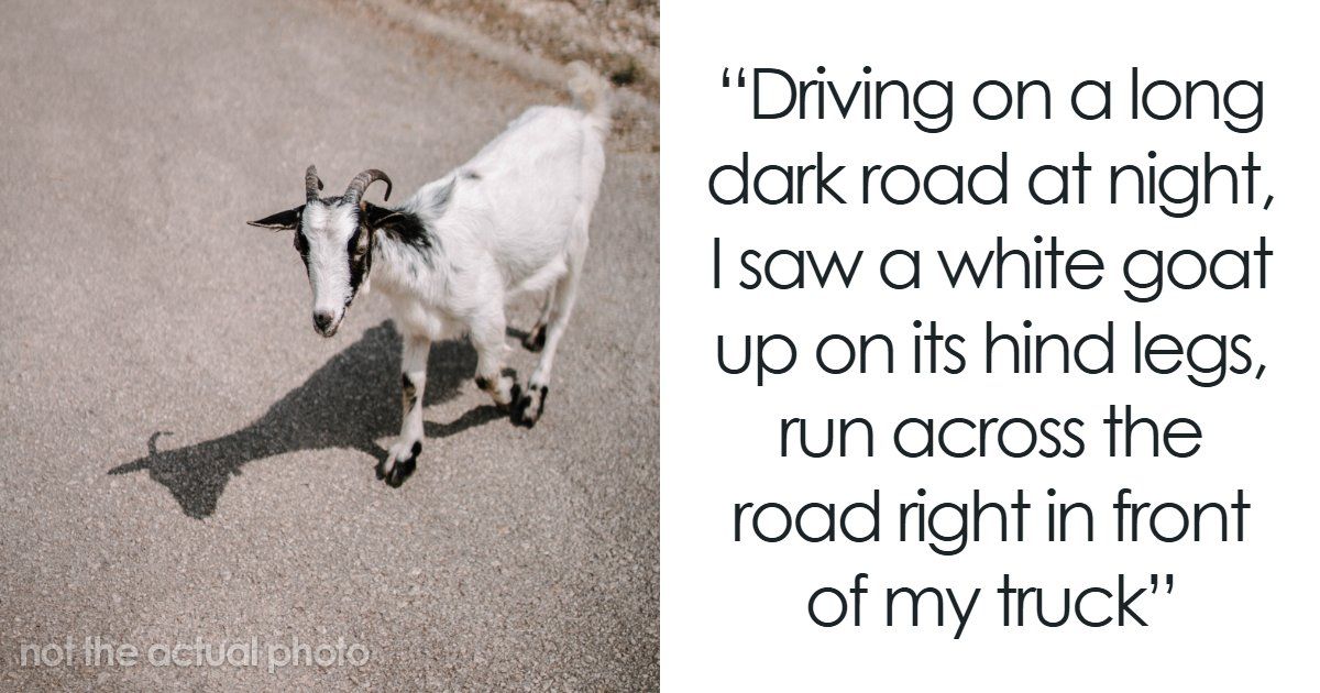 53 Times People Saw Something Unexplainable And…