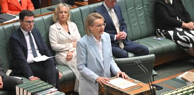 Sussan Ley fills frontbench holes temporarily, giving a brief window for Nationals to rethink Coalition split