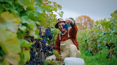 The rise of cold climate viticulture: Unexpected destinations wine lovers need to visit