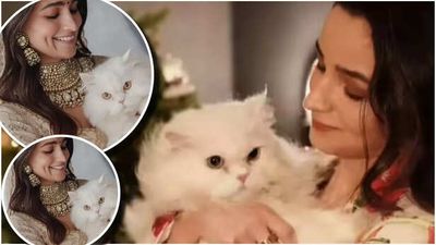 When Alia Bhatt Shared The Adorable Pic Of Her ‘Cat Of Honour’ From Her Wedding Diary